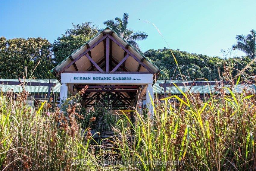 Metro Lodge Cathedral Durban Exterior photo